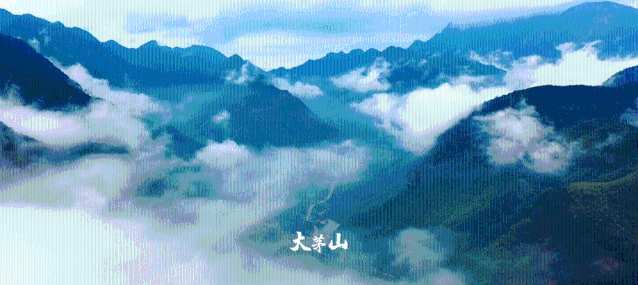 十年买成“榜一大哥”，日本央行亲自下场买股票，是错是对？