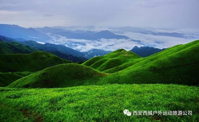 救援农场少年